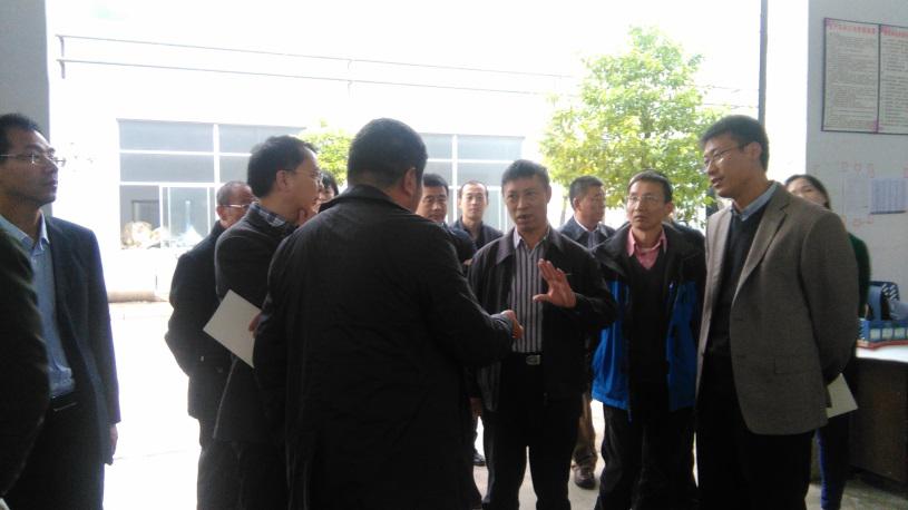 On November 5, 2015, the county magistrate Yang Bo with foreign investment favorable visited the plant construction and production workshop of ANHUI DEXINJIA BIO&PHARM CO.,LTD
